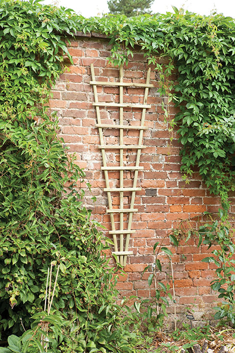 Forest Garden DTS Traditional Fan Trellis - 180 x 60cm - Pack of 6 