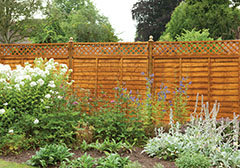 Forest Garden DTS Diamond Lattice Fence Topper - 183 x 60cm 