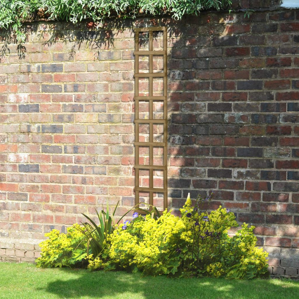 Forest Garden DTS Traditional Trellis - 180 x 30cm - Pack of 6 