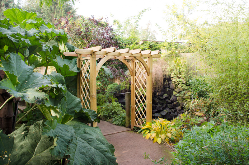 Forest Garden DTS Large Ultima Pergola Arch 