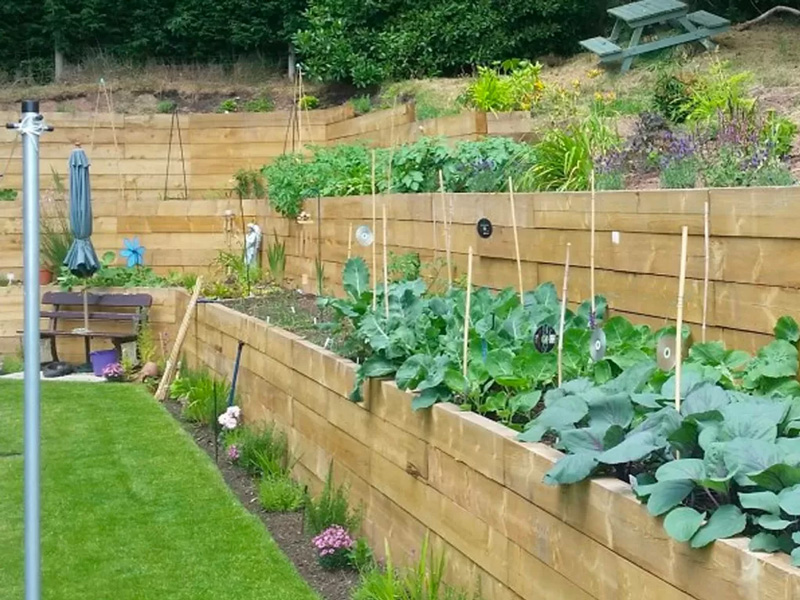 A sleeper retaining wall built in a domestic garden with green treated timber.