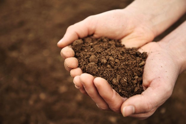 close up of two hands holding rich top soil