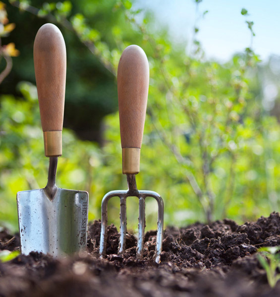 trowel and fork in top soil flower bed
